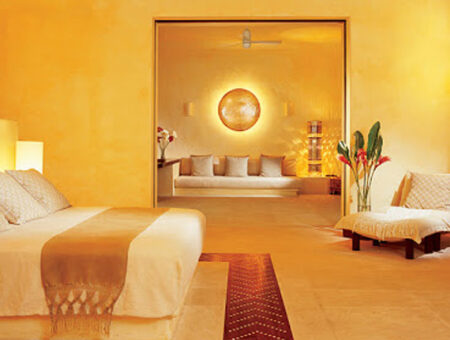 Color Burst and Wandering Mind