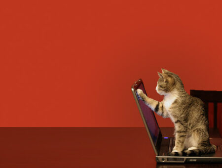 What to do over the weekend?